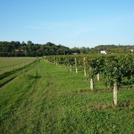 Agriturismo Lupo Bianco Monzambano Buitenkant foto