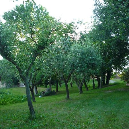 Agriturismo Lupo Bianco Monzambano Buitenkant foto