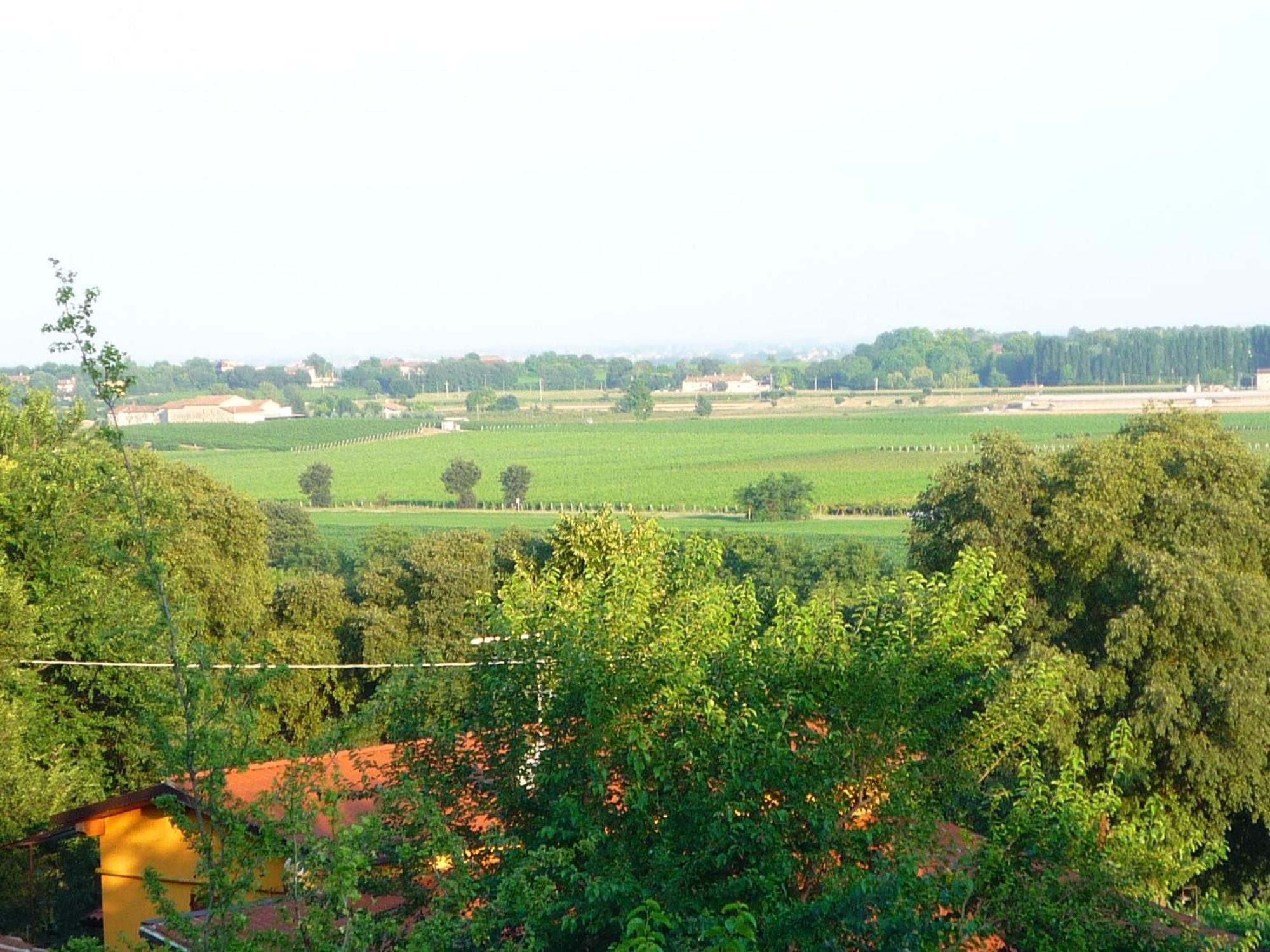 Agriturismo Lupo Bianco Monzambano Buitenkant foto